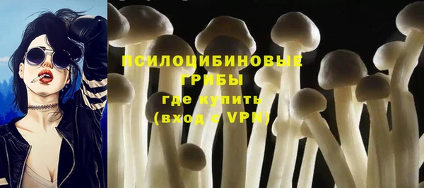 соль ск Белоозёрский